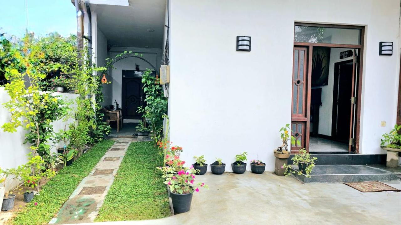 Aloe Vera Villa Negombo Esterno foto
