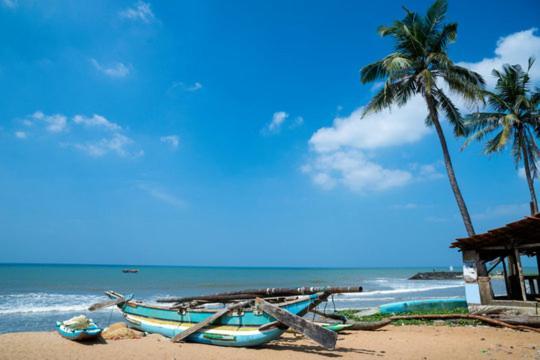 Aloe Vera Villa Negombo Esterno foto