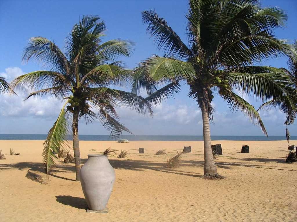 Aloe Vera Villa Negombo Esterno foto